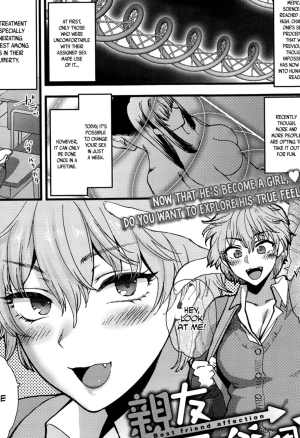 Syoukaki -  Friend Affection English