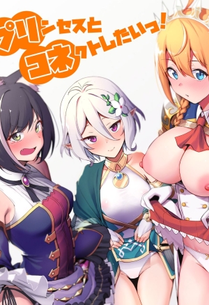 Princess to Connect Shitai!