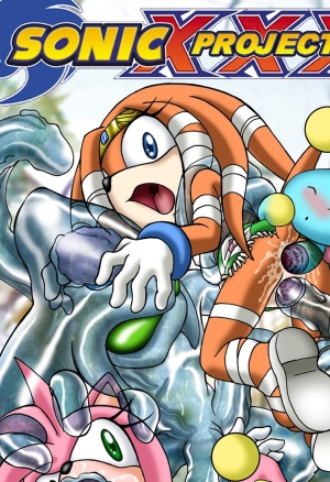 Sonic XXX Project 2
