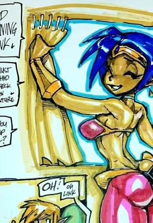 Shantae X Link Goof Of