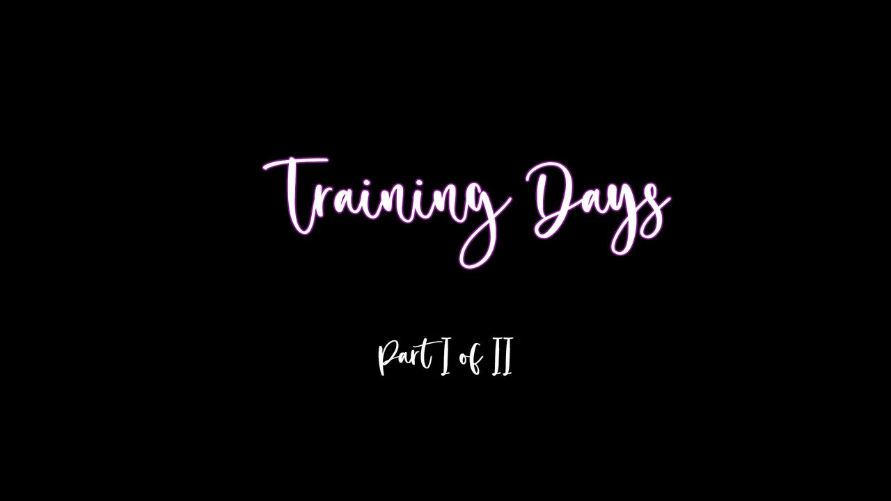 Training Days image number 1