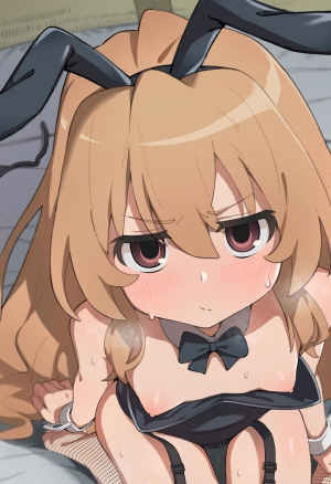 Toradora! no Erohon 2 Toradora! Porn Book 2 English