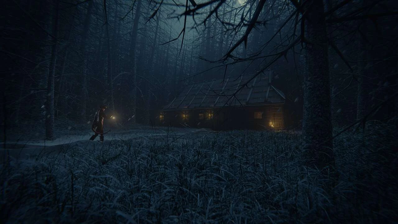 Baldurs Date - Shadow and Fire image number 1