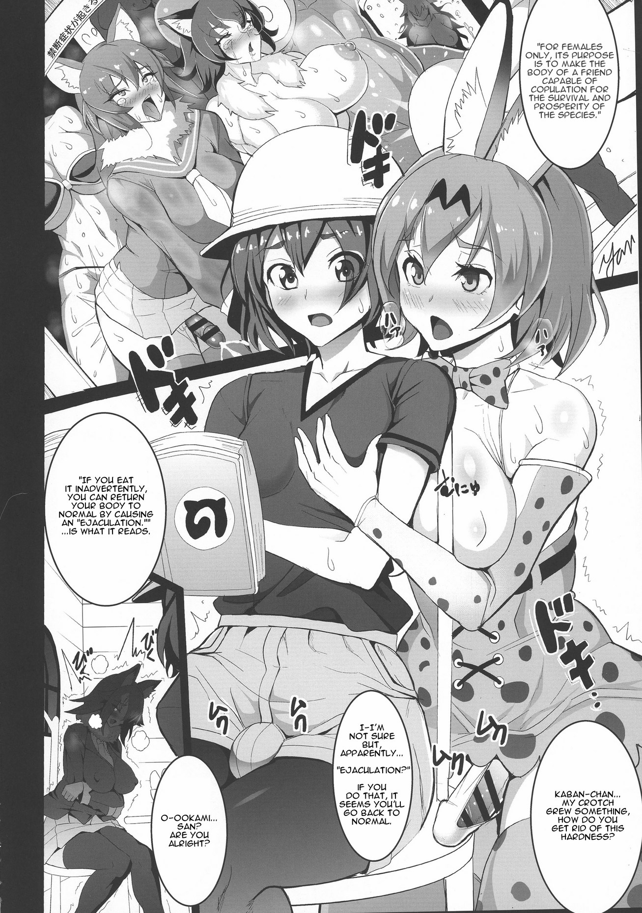 Yabanna Friends image number 3