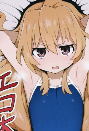 Toradora! no Erohon  Toradora! Porn Book