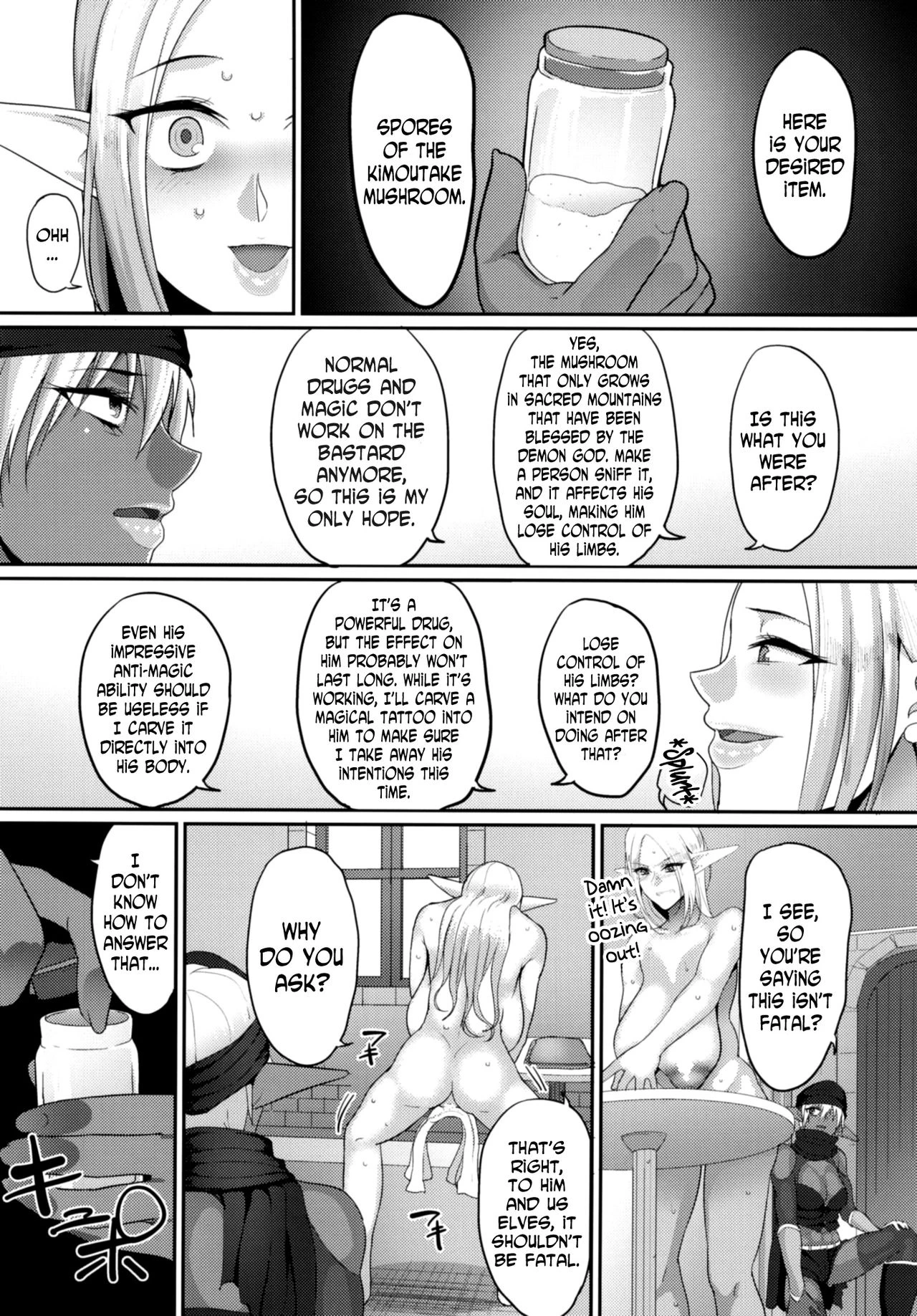 Force Married With A Haughty Elf! 3  Takabisha Elf Kyousei Konin!! 3 image number 7