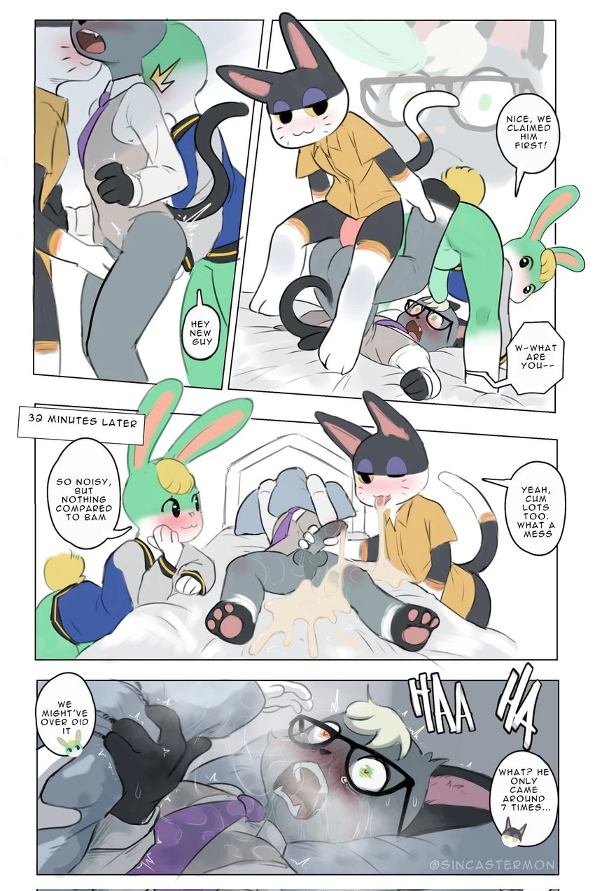 Raymonds Island Adventure image number 1