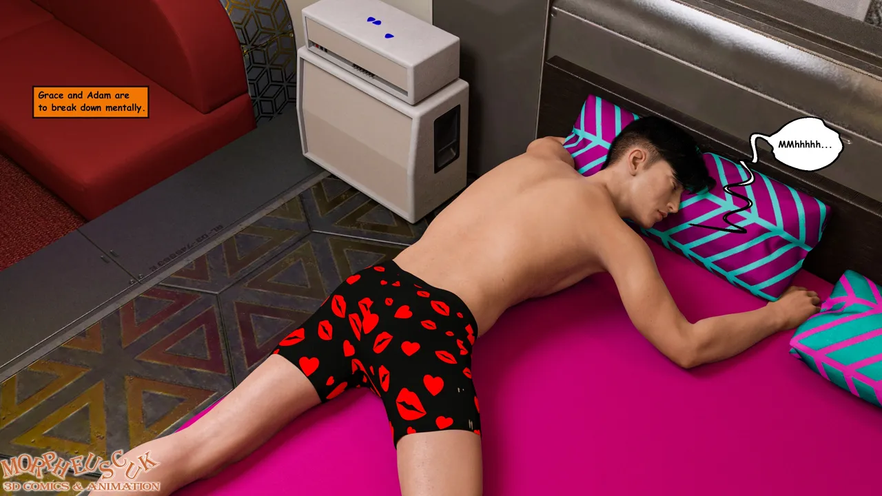 Shelter image number 61