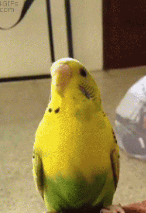 POV! Her Saving Grace 3