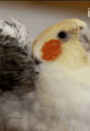 POV! Her Saving Grace 2