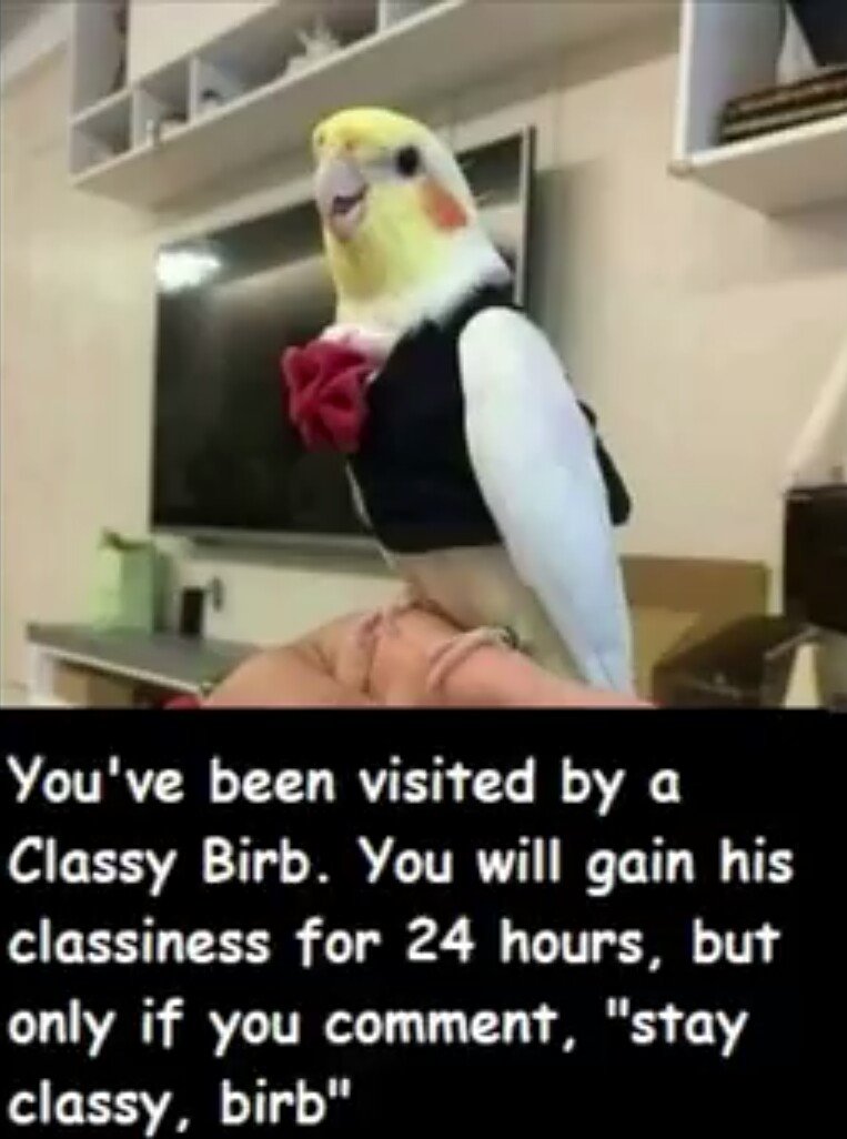 Jun Kemonokko Tsuushin ~Hebi Musume Naja~