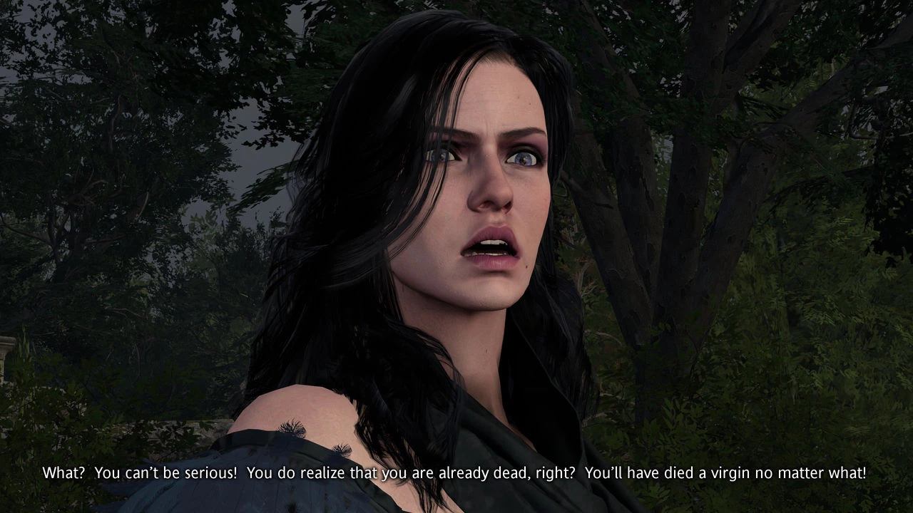 Witcher stories part 2 image number 11