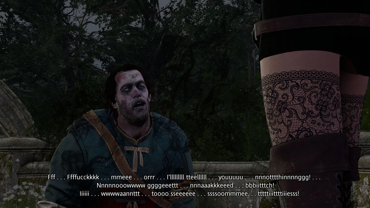 Witcher stories part 2 image number 12