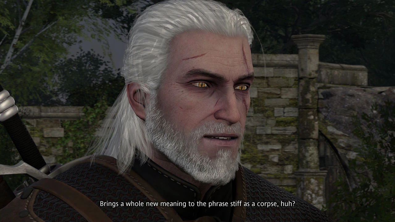 Witcher stories part 2 image number 16