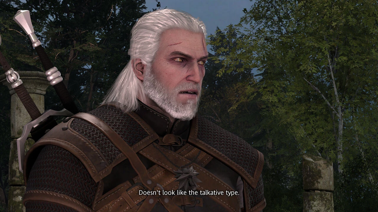Witcher stories part 2 image number 1
