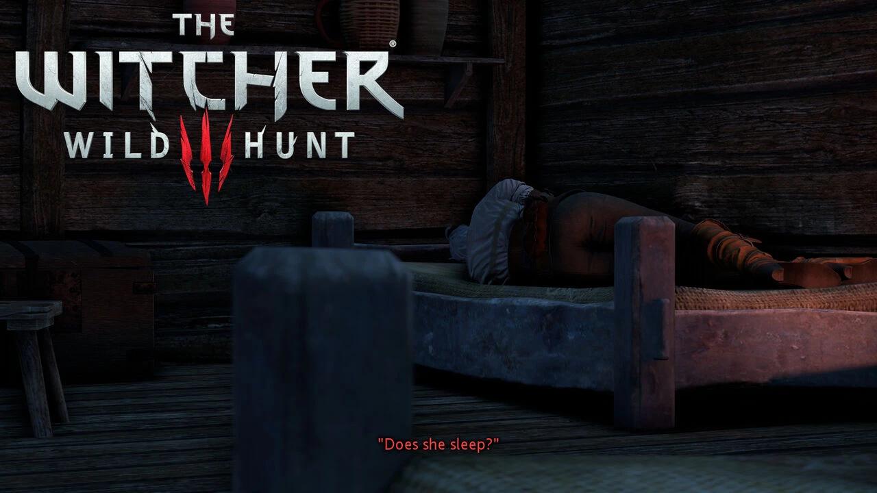 Witcher stories part 2 image number 20