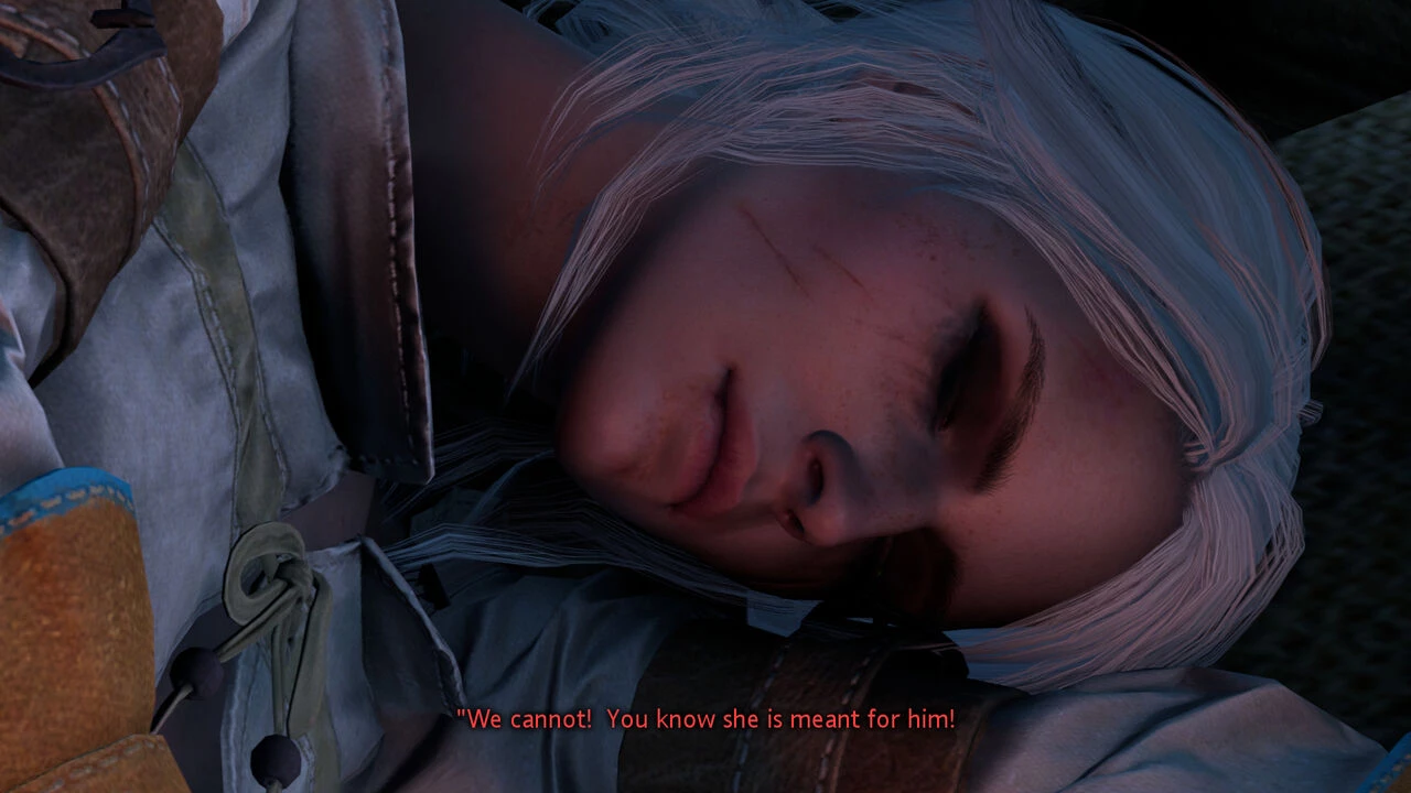 Witcher stories part 2 image number 23