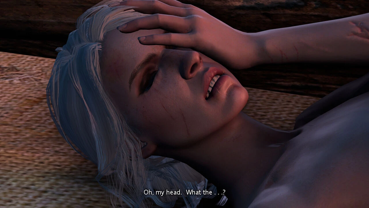 Witcher stories part 2 image number 28