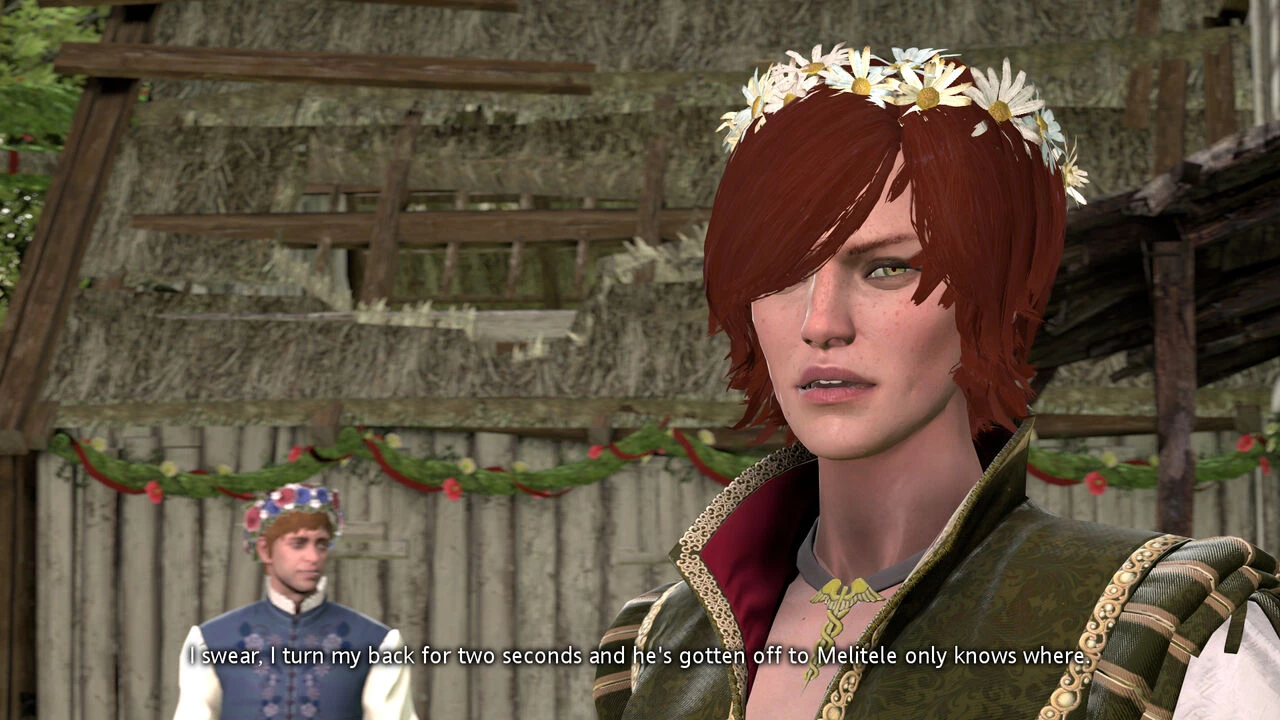 Witcher stories part 2 image number 31