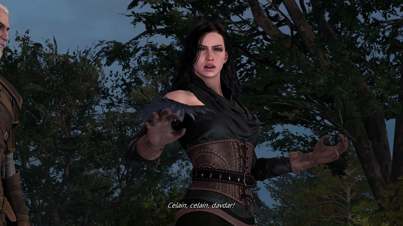 Witcher stories part 2 image number 3