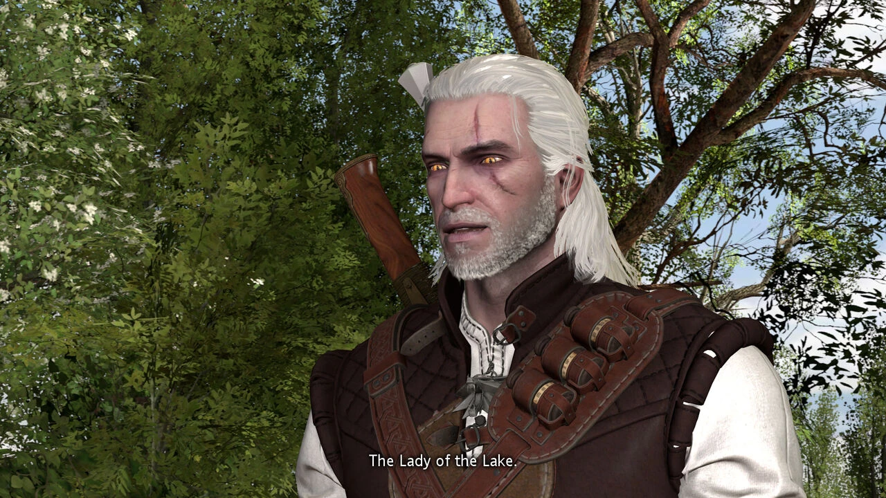 Witcher stories part 2 image number 53