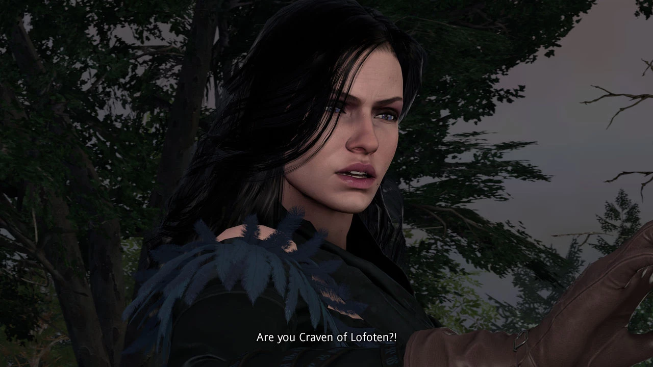Witcher stories part 2 image number 5