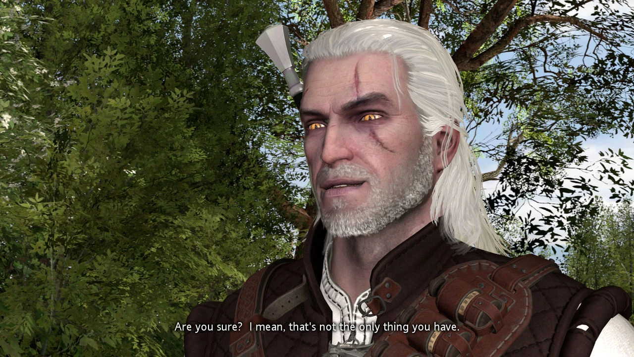 Witcher stories part 2 image number 59