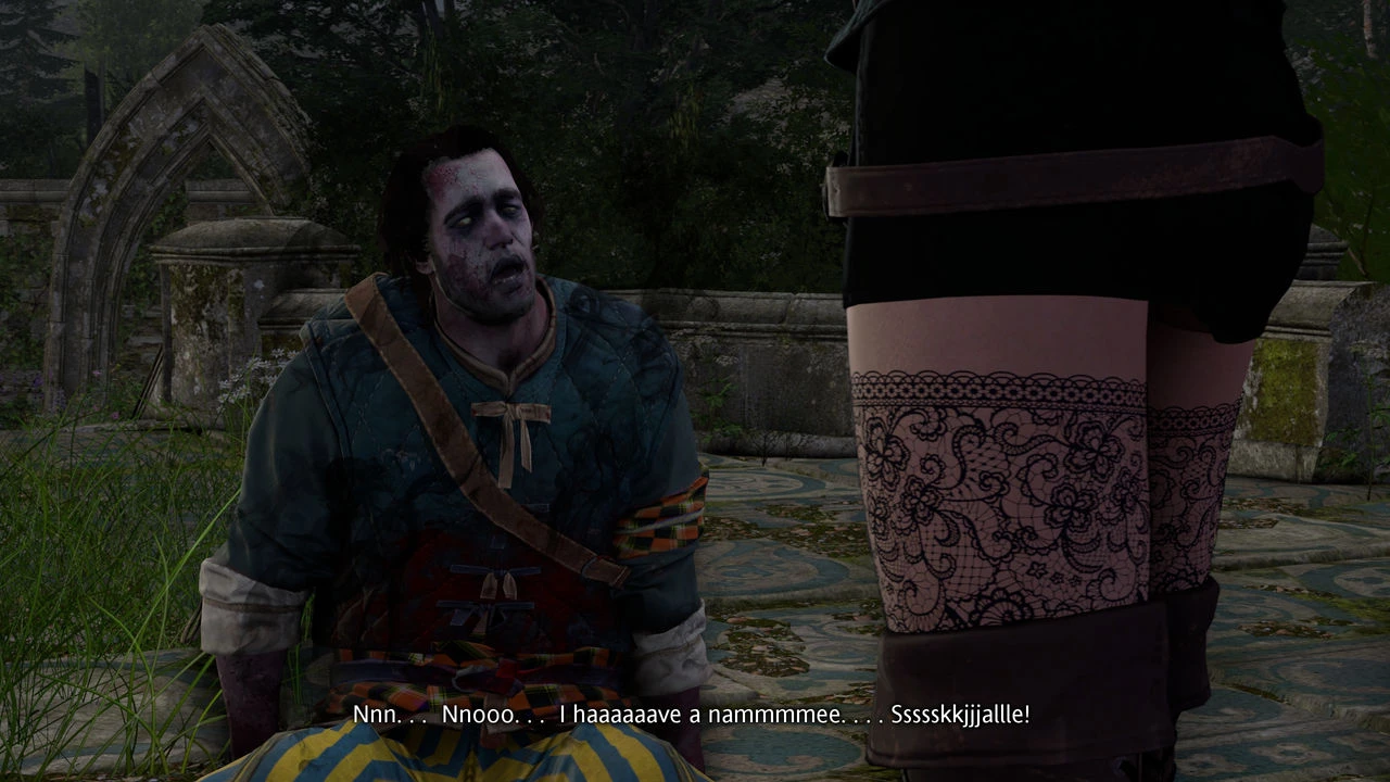 Witcher stories part 2 image number 6