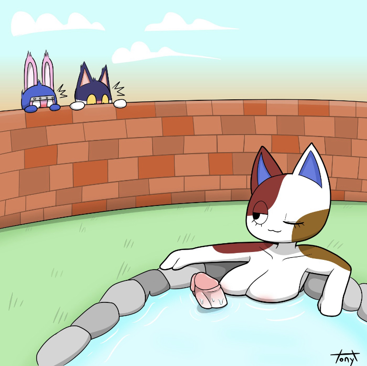 The TonyToran Gallery image number 17