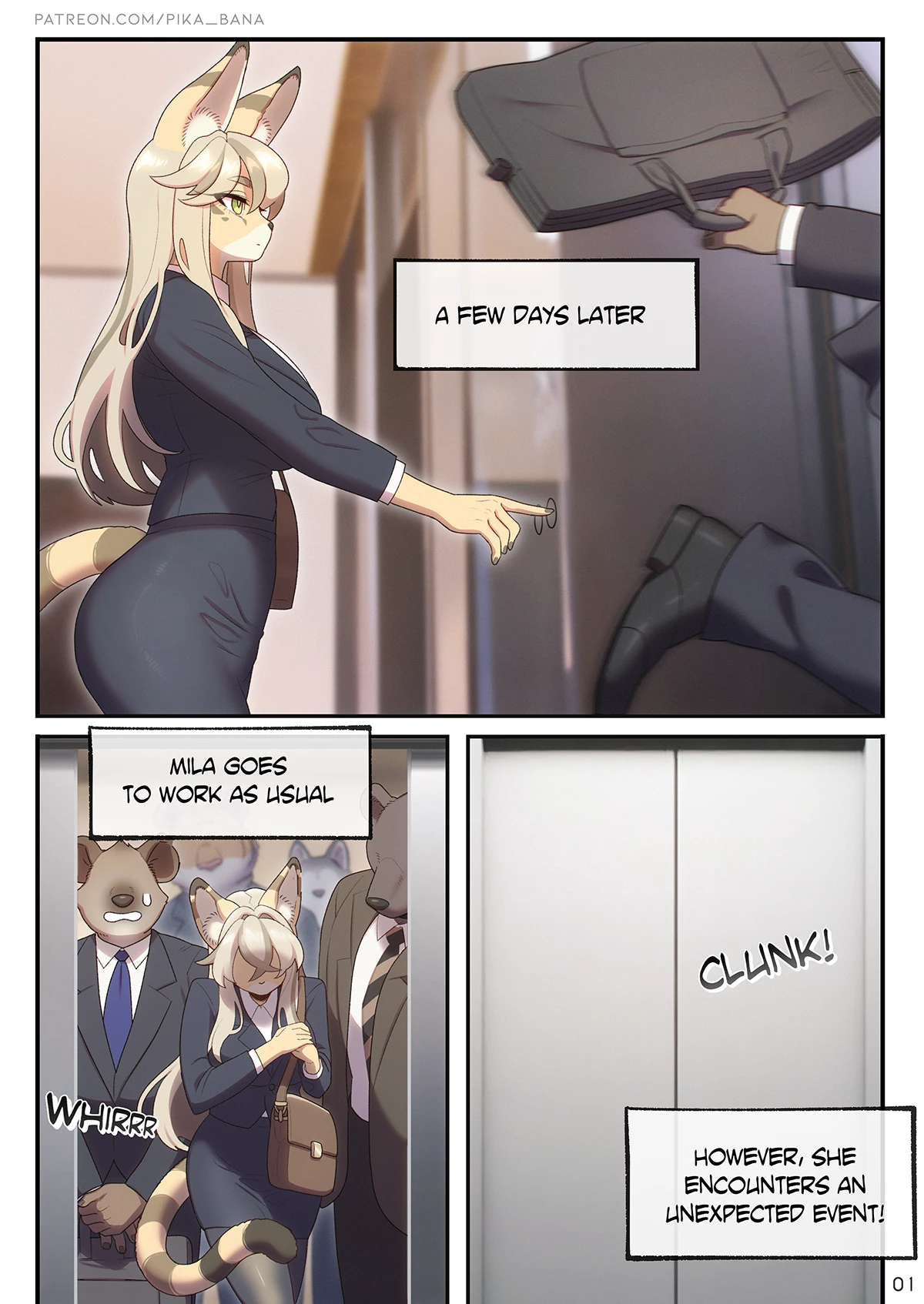 The Sexret Elevator