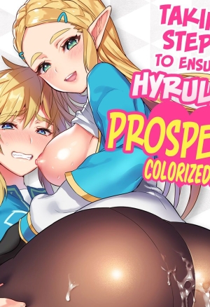 Taking Steps to Ensure Hyrule's Prosperity!
