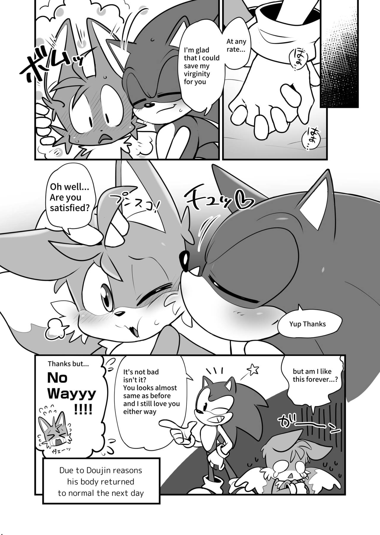 hentaib - Tails and Sonics special Fuss (Sonic the Hedgehog) image number 14