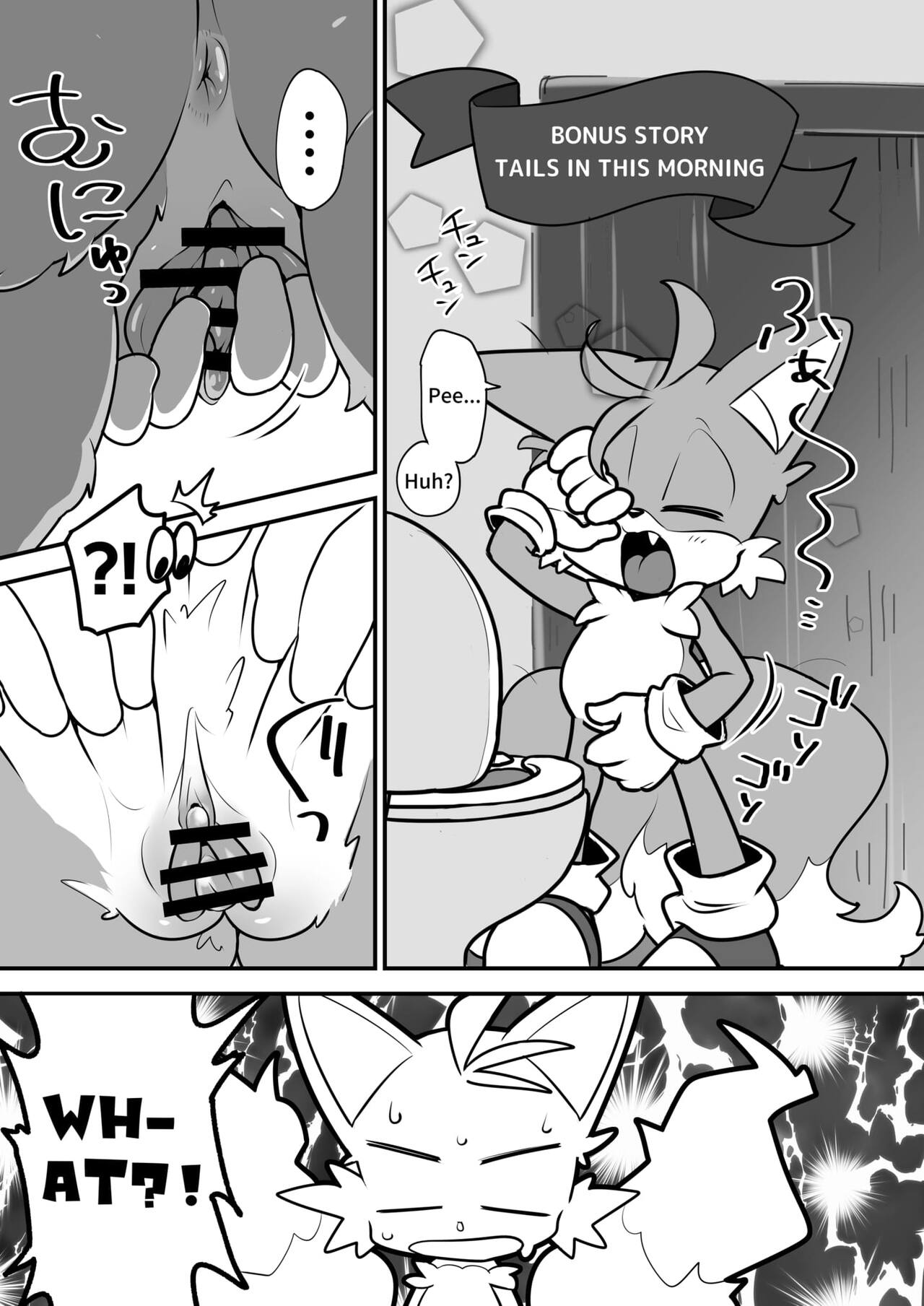 hentaib - Tails and Sonics special Fuss (Sonic the Hedgehog) image number 15