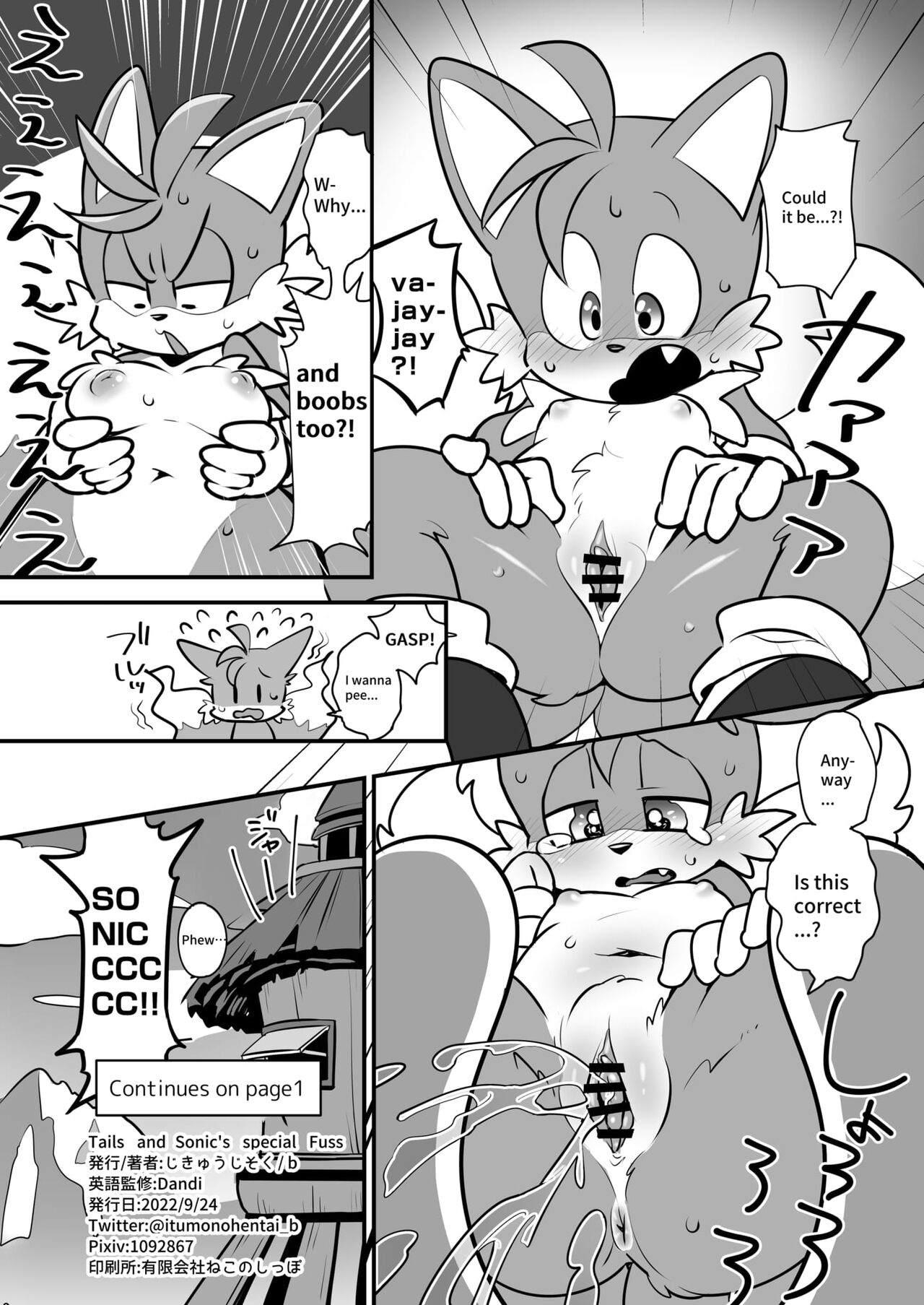 hentaib - Tails and Sonics special Fuss (Sonic the Hedgehog) image number 16