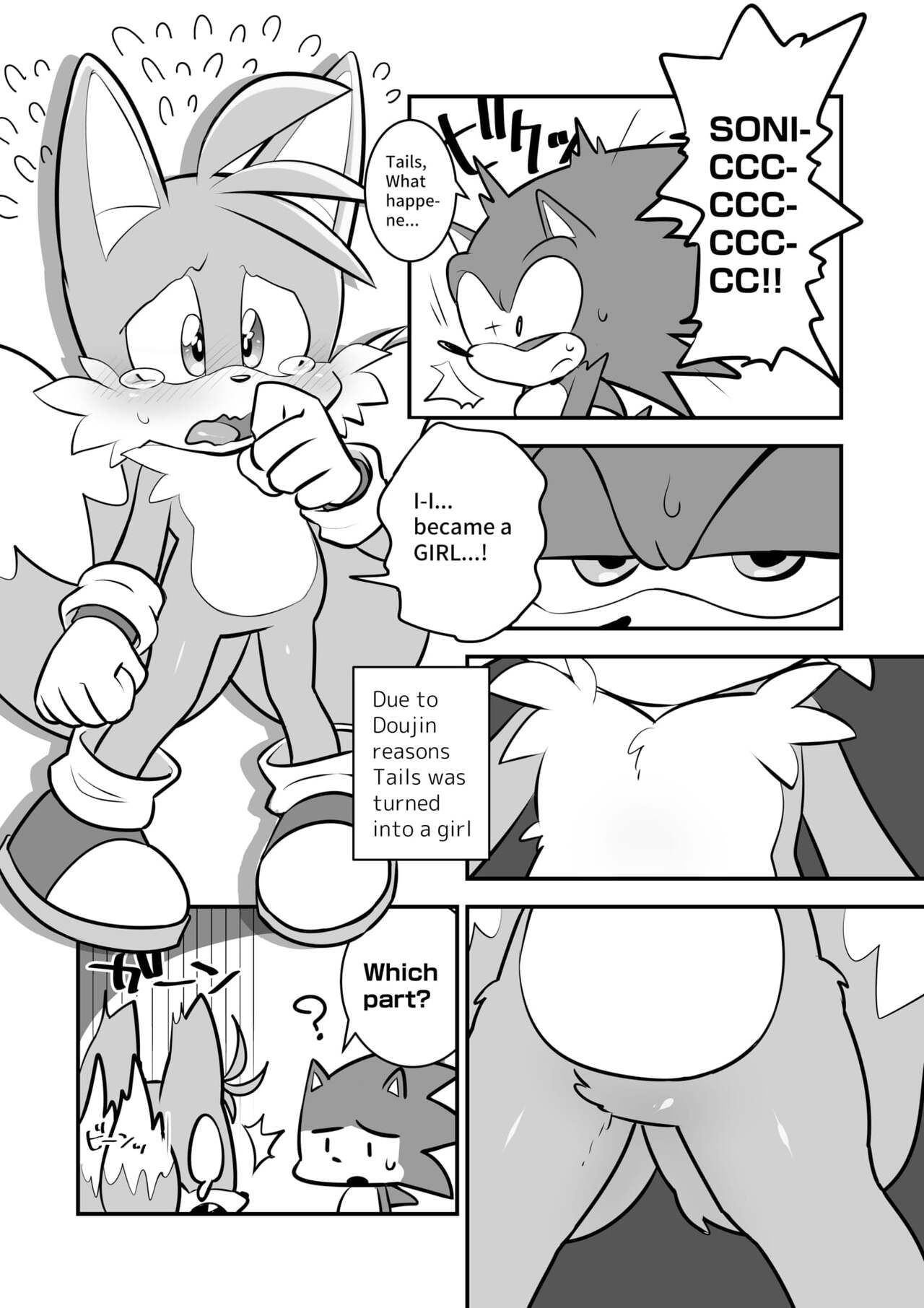 hentaib - Tails and Sonics special Fuss (Sonic the Hedgehog) image number 1