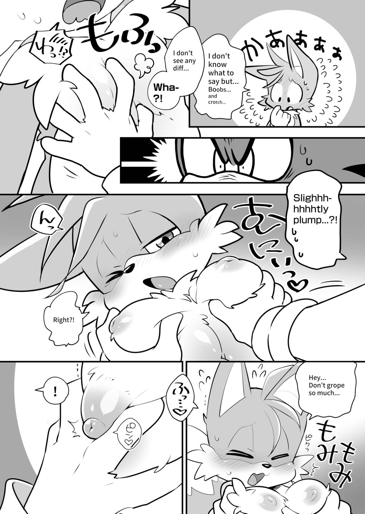 hentaib - Tails and Sonics special Fuss (Sonic the Hedgehog) image number 2