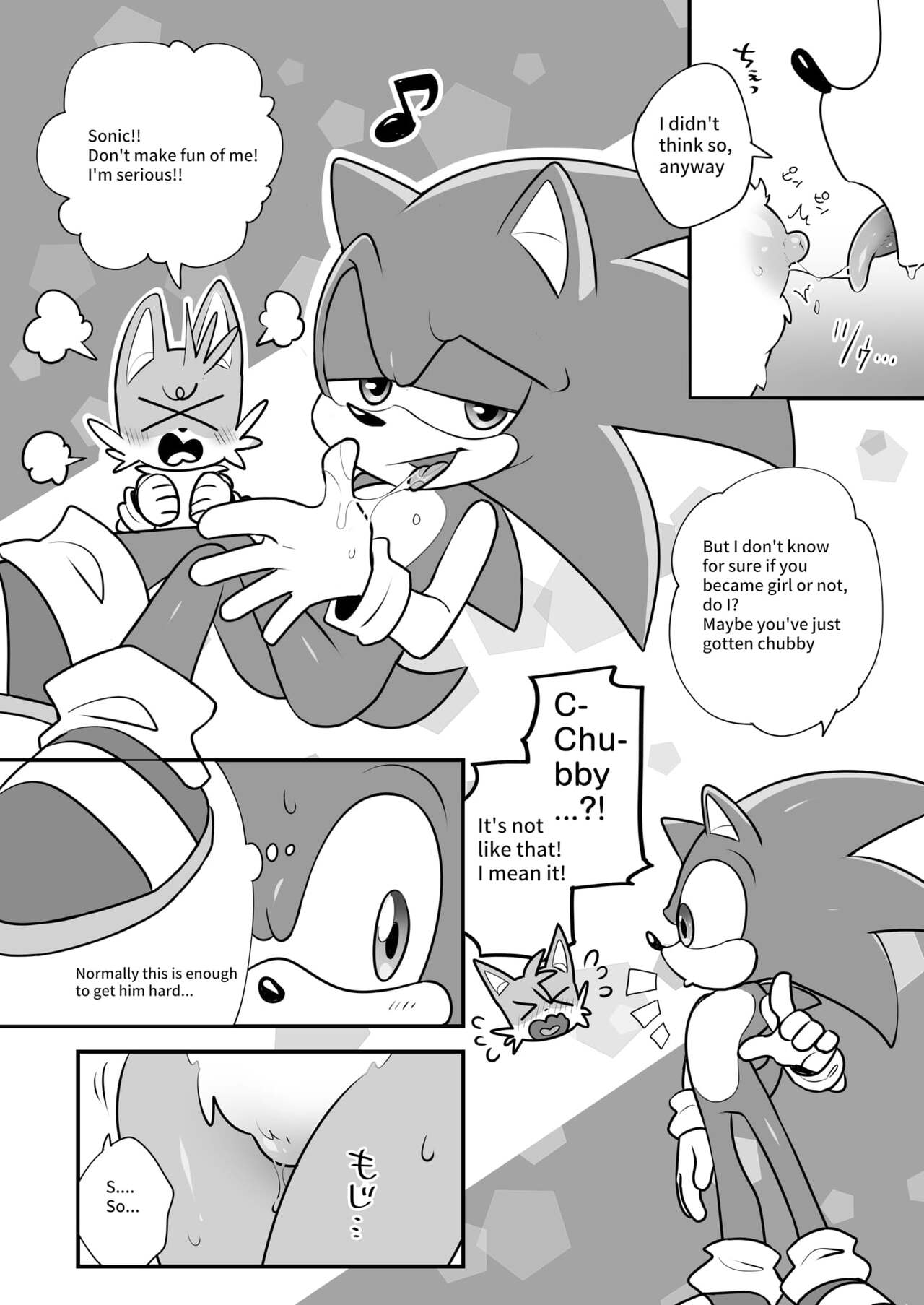 hentaib - Tails and Sonics special Fuss (Sonic the Hedgehog) image number 4
