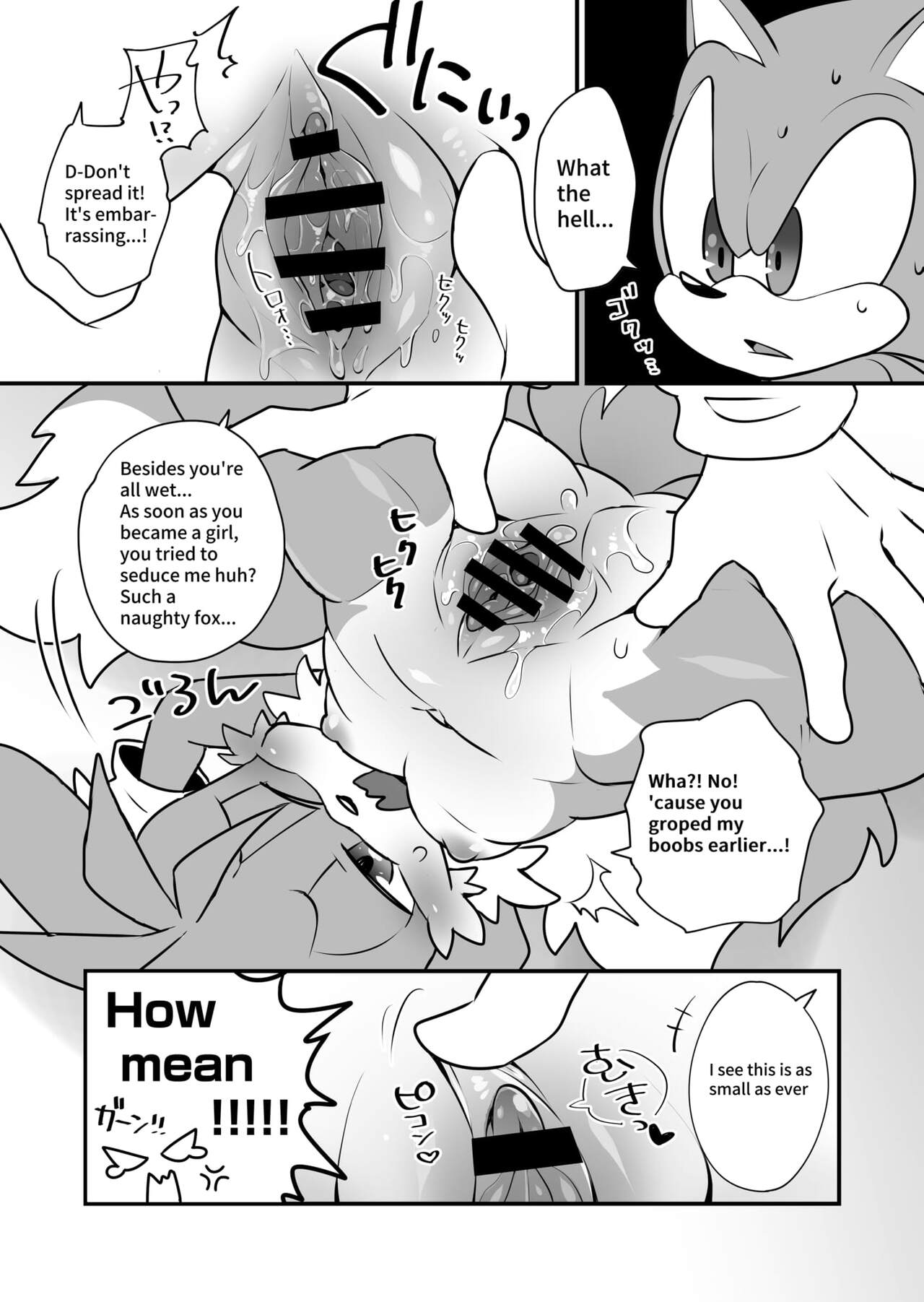 hentaib - Tails and Sonics special Fuss (Sonic the Hedgehog) image number 6