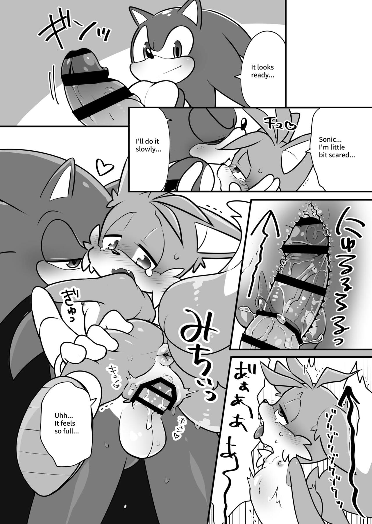 hentaib - Tails and Sonics special Fuss (Sonic the Hedgehog) image number 8