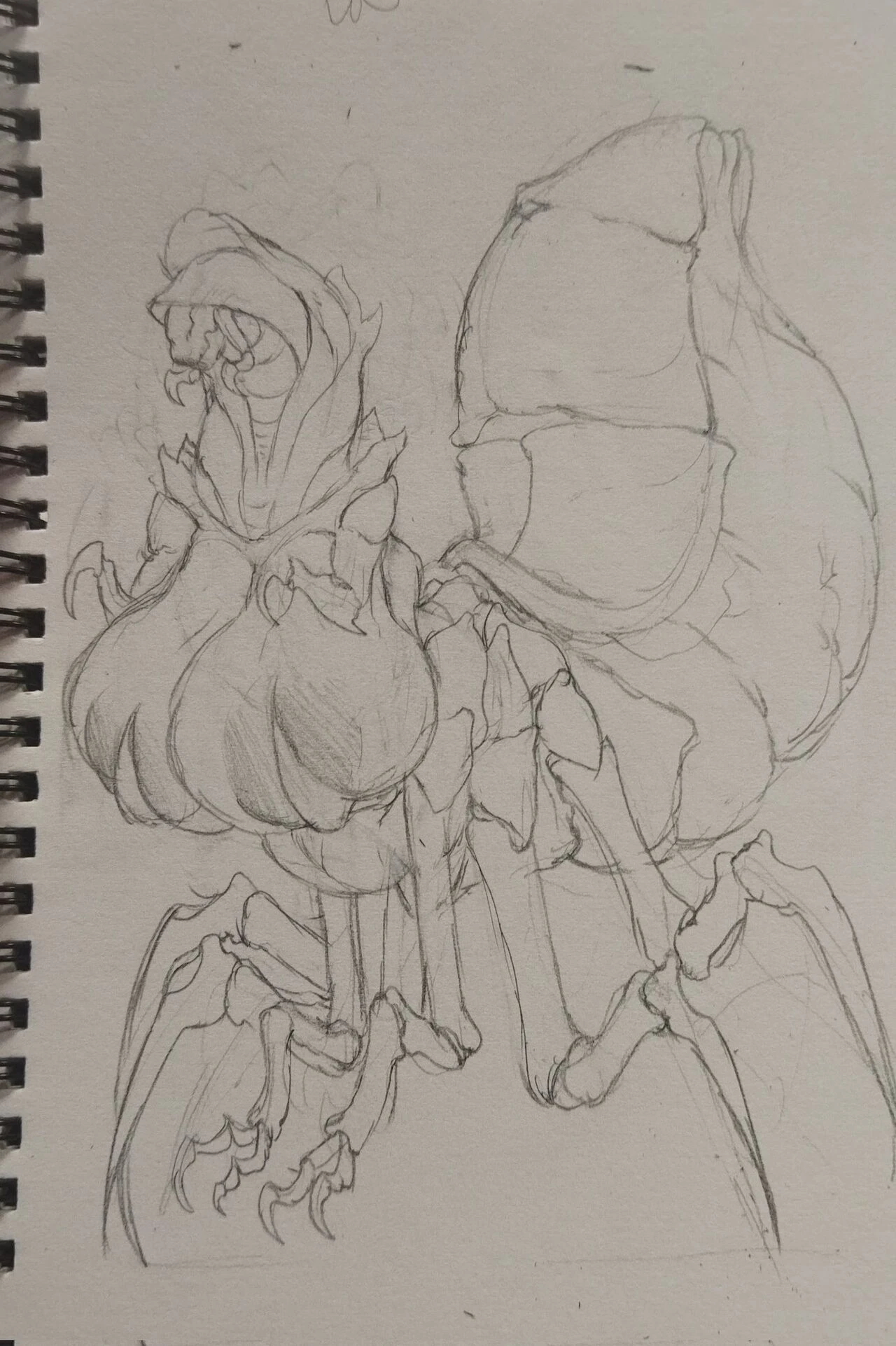 Breeding the WIdow image number 4