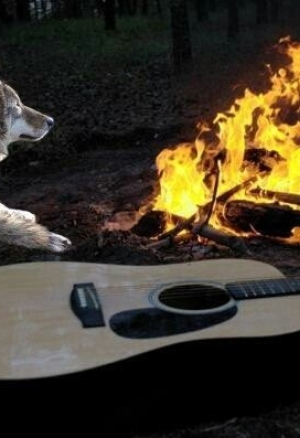 Watashi no Koibito o Shoukai Shimasu!