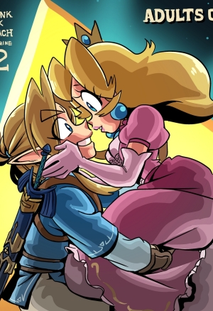 The Hero of Hyrule