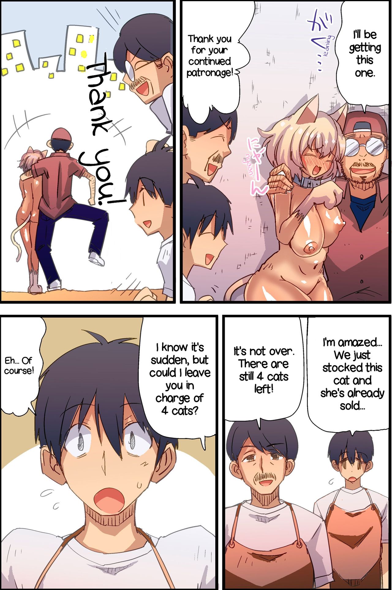 Female Cats in Stock Toda image number 16