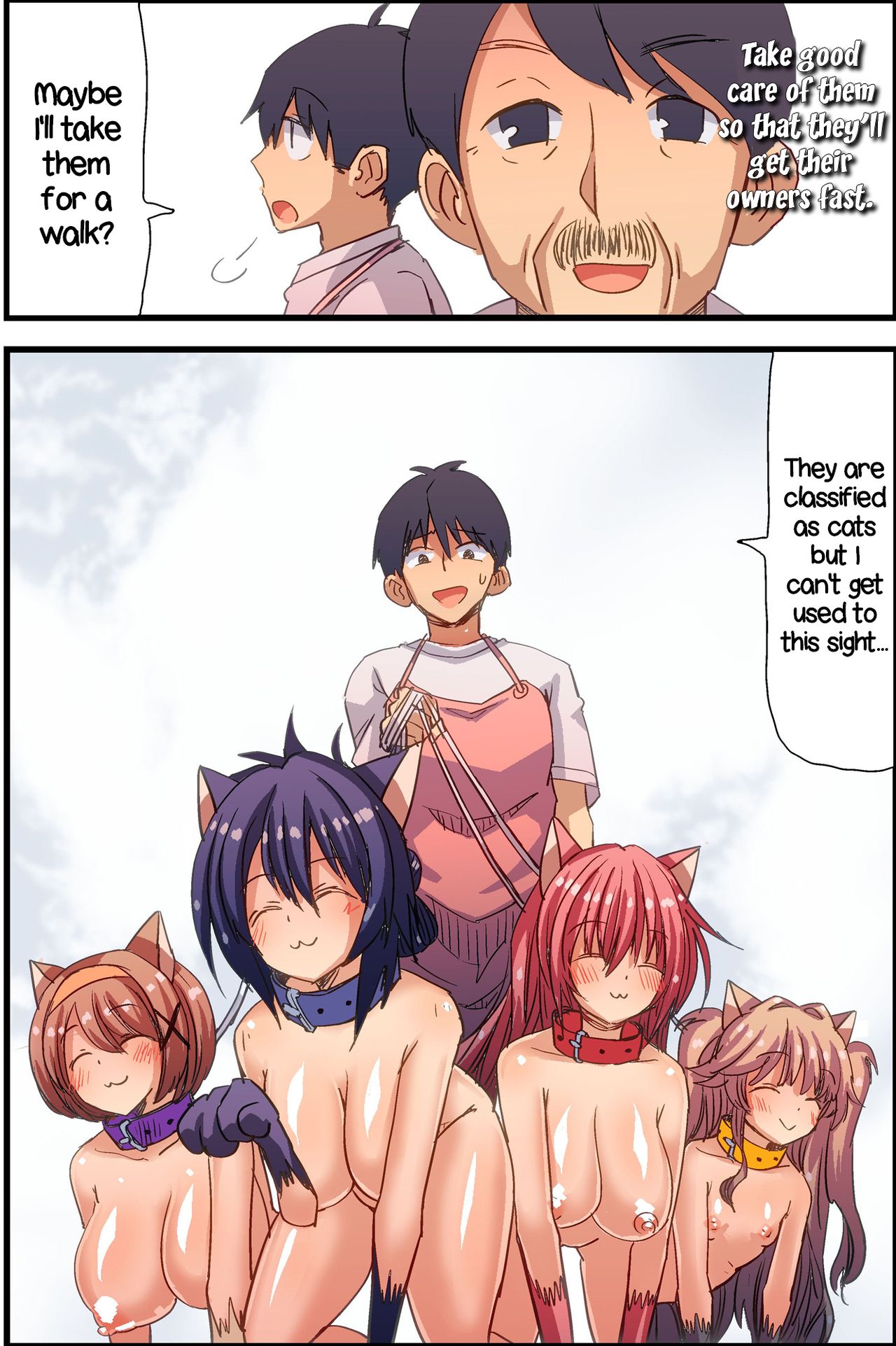 Female Cats in Stock Toda image number 17