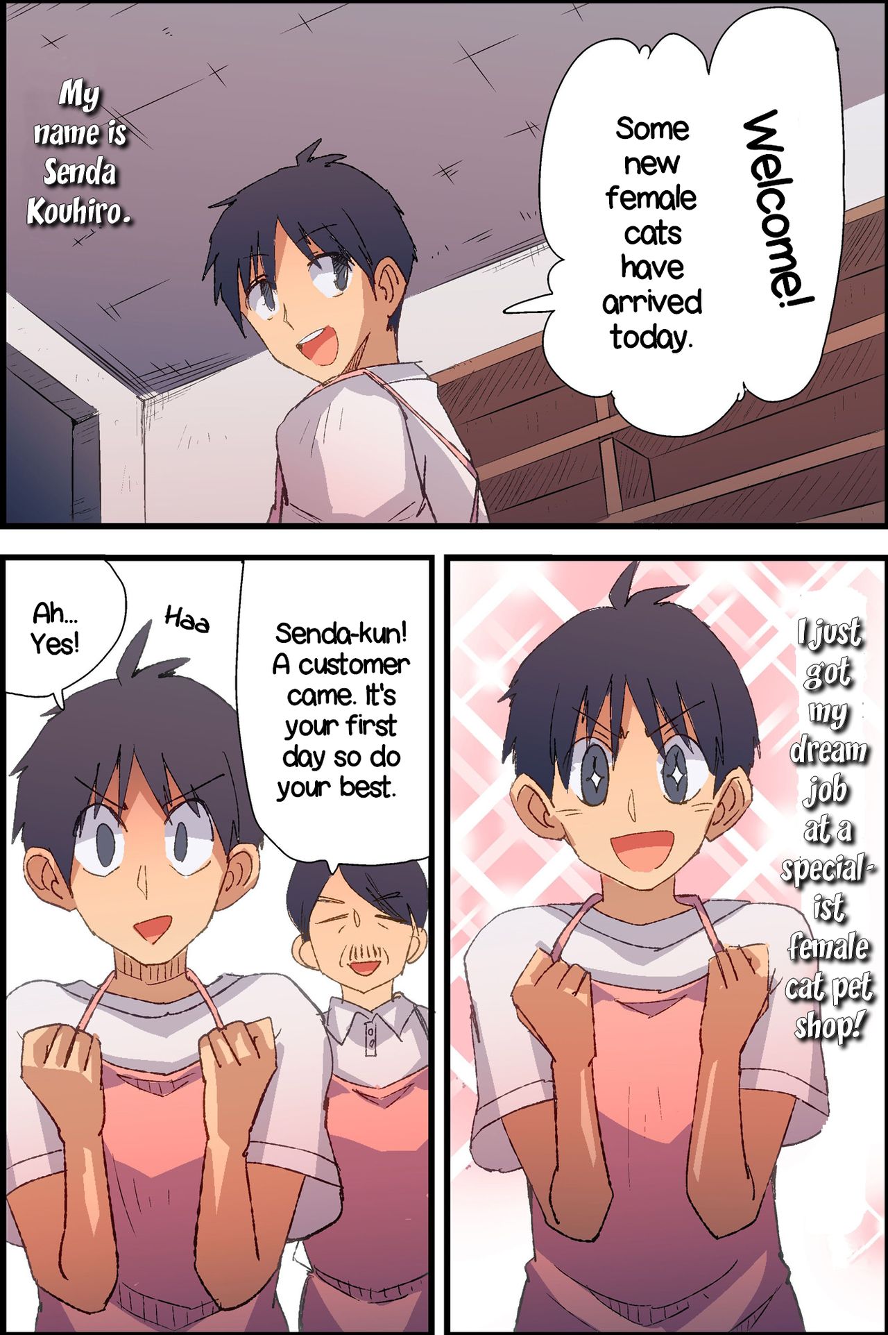 Female Cats in Stock Toda image number 3