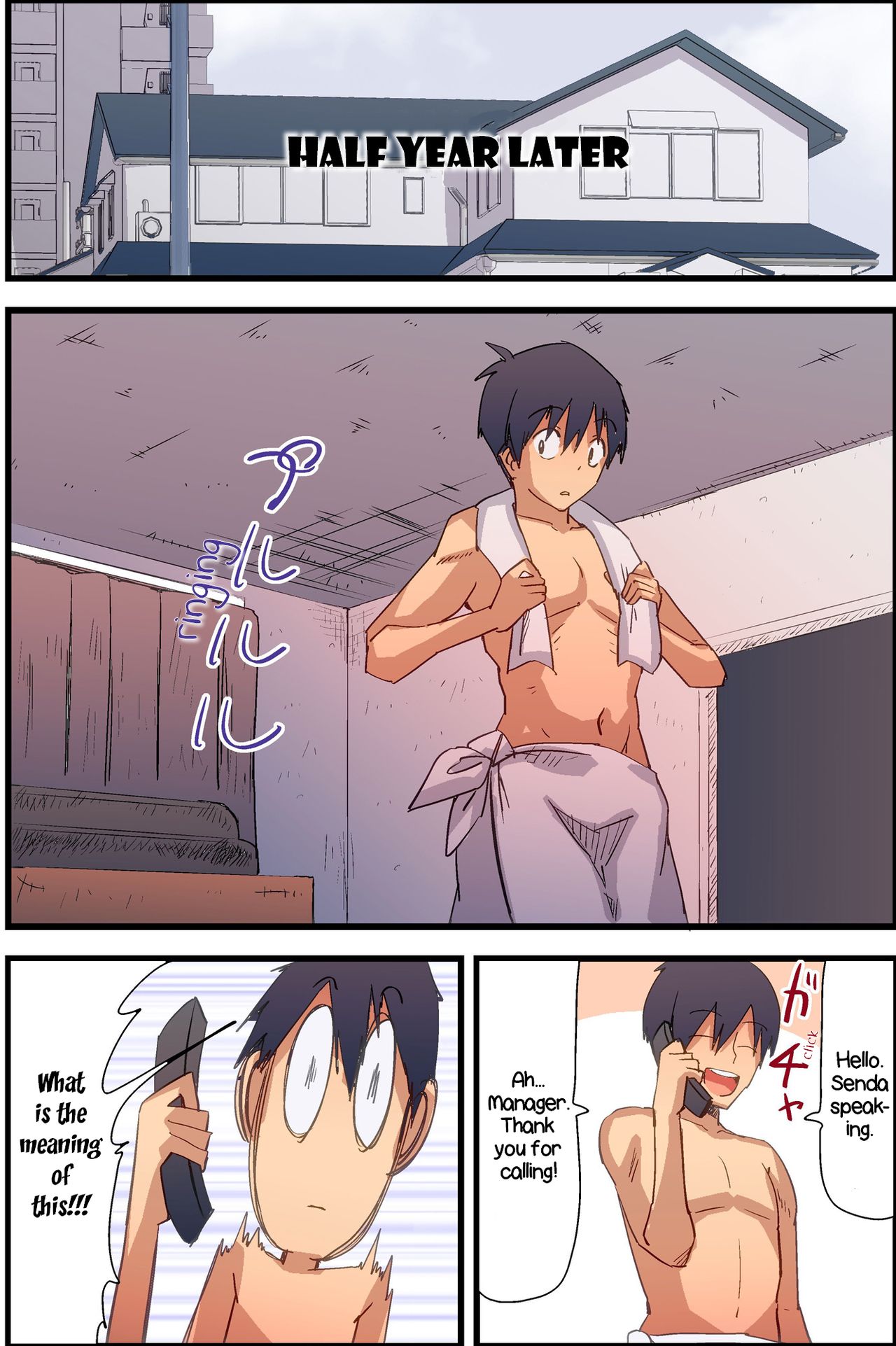 Female Cats in Stock Toda image number 39