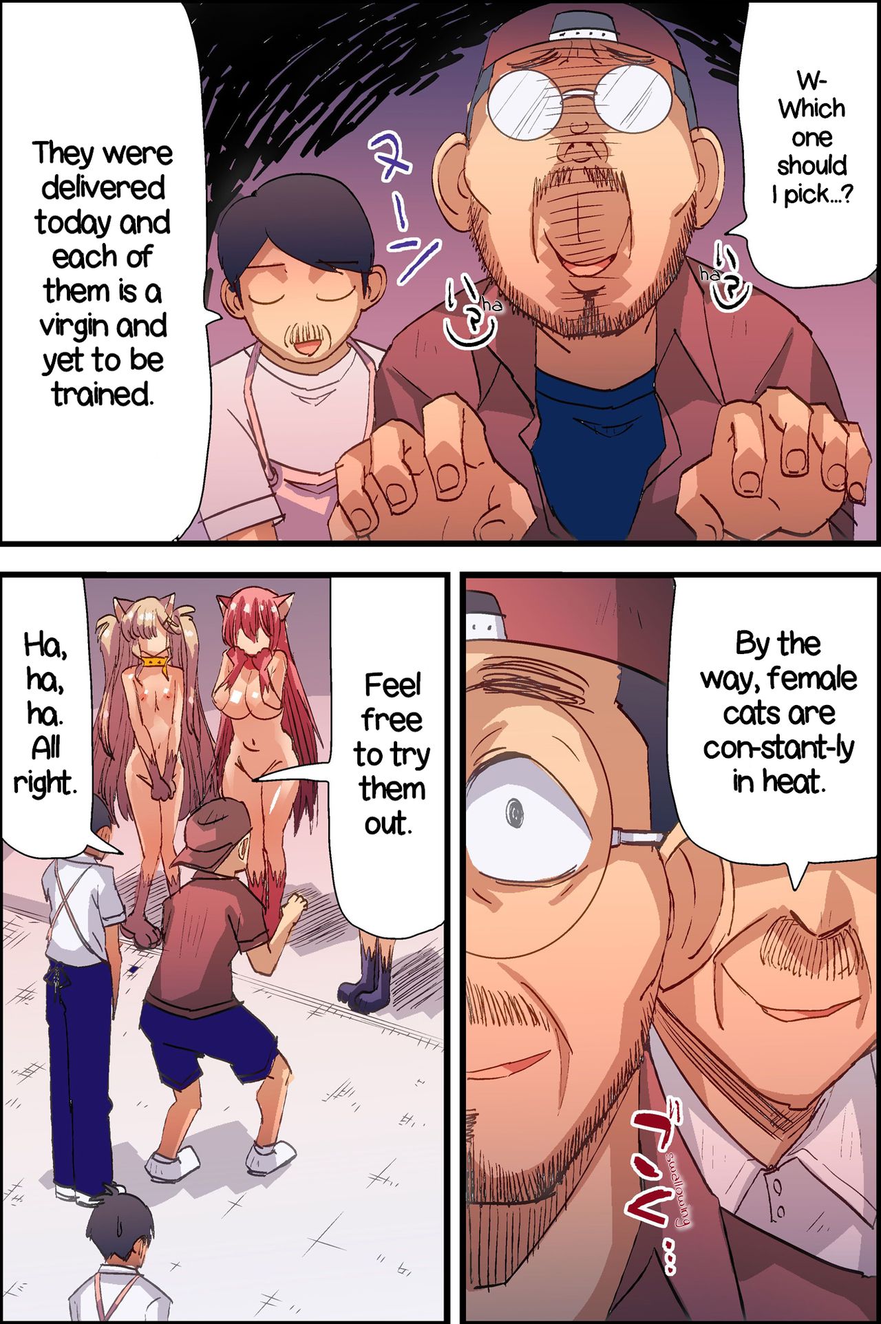 Female Cats in Stock Toda image number 6